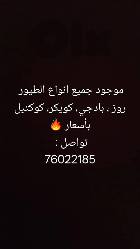 76022185