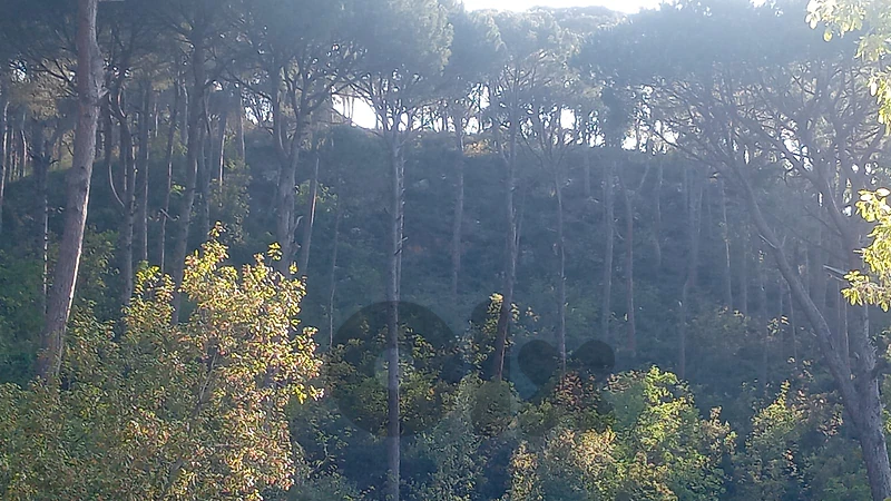 Prime Location Land for Sale in Karssoun عقار للبيع في قرصون بعبدا