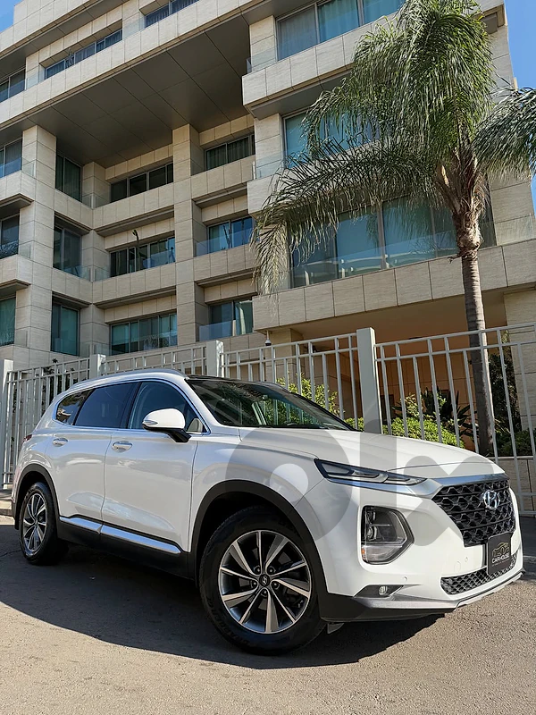 Hyundai Santa Fe 4WD 2019 "Company Source"