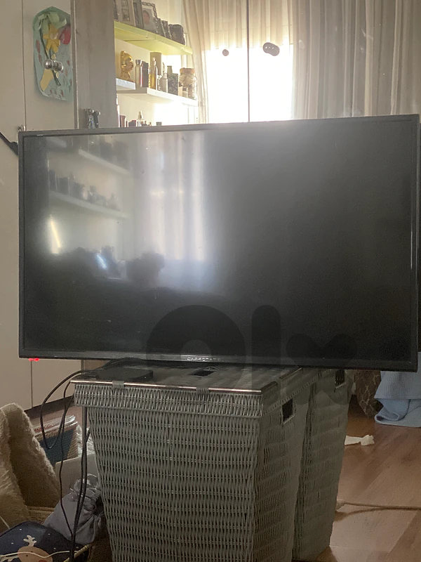 campimatic tv