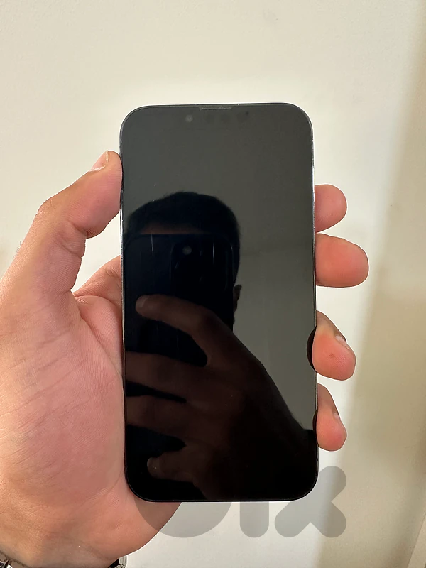 13 pro 256gb