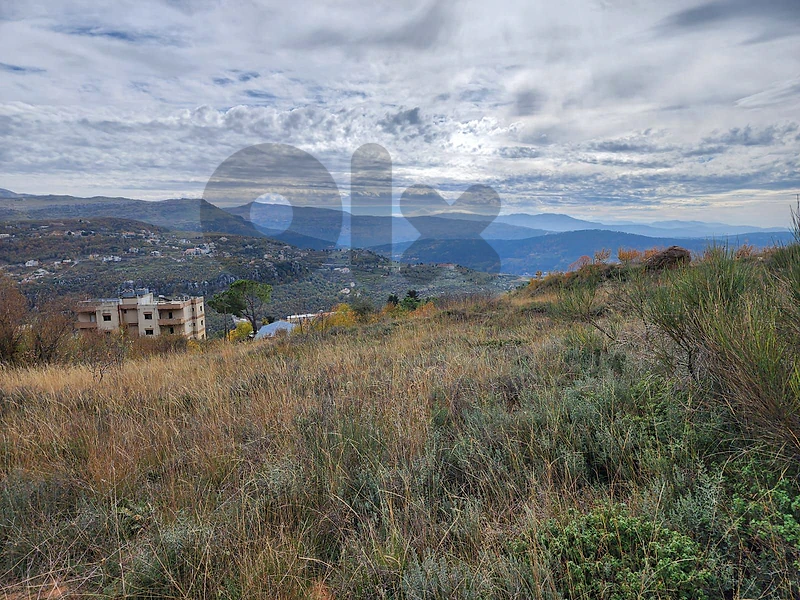 Unique Opportunity in Kfardebian
