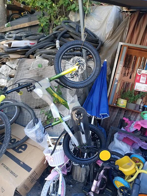 bicycle size 12
