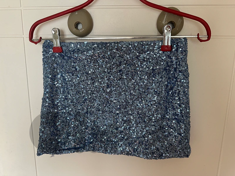 Sequin Skirt