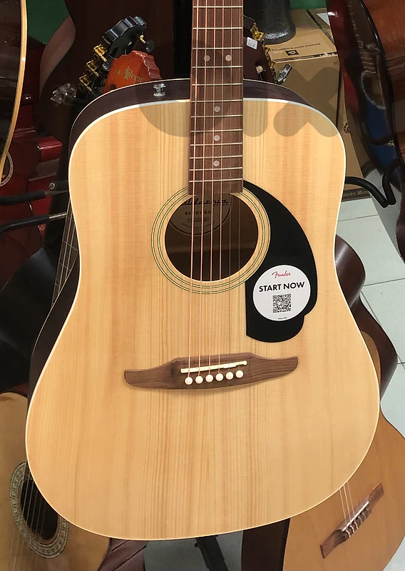 acoustic guitar fender غيتار أكوستيك