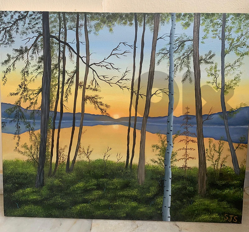 Where Light Meets Silence ✨🌅🌳