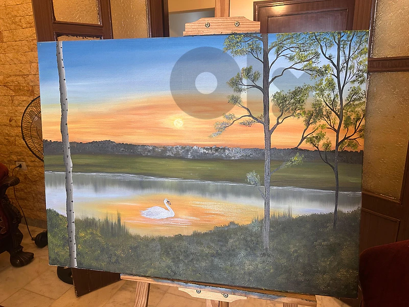 A lonely sunset 🦢🌅