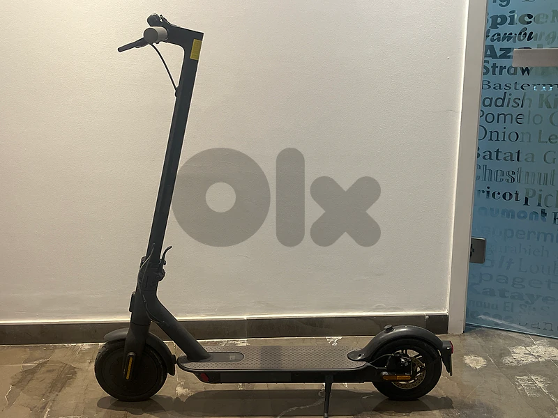electric scooter