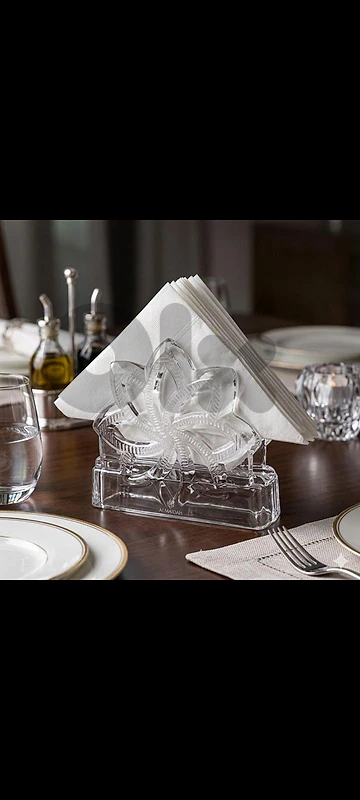 elegant glass napkins stand