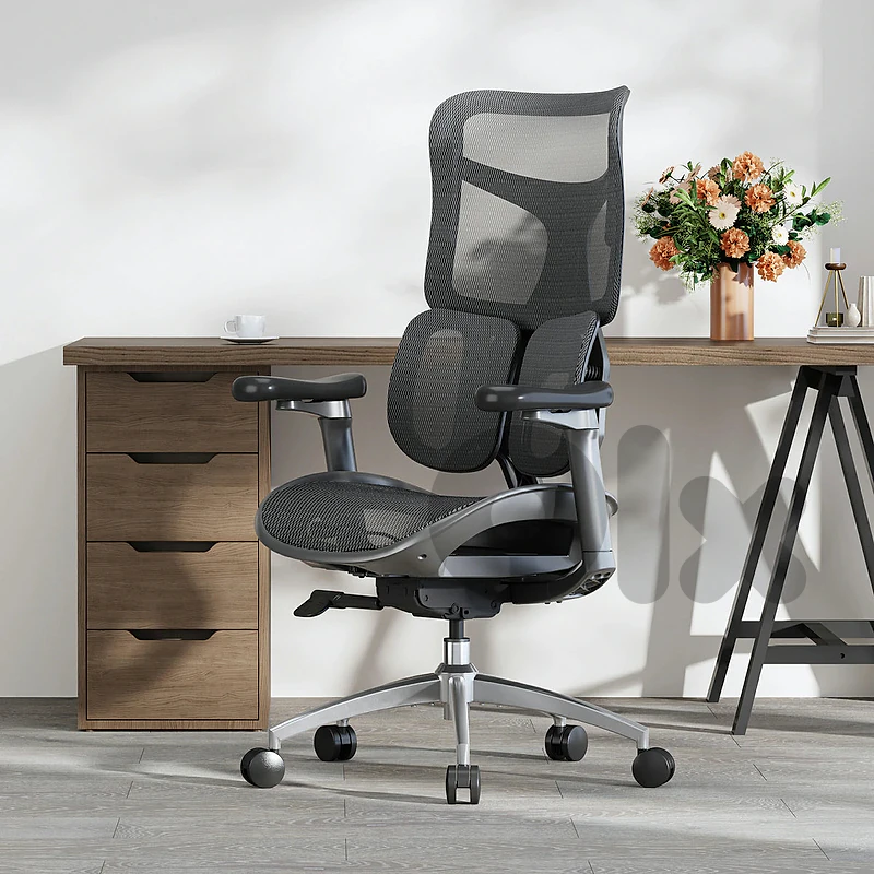 sihoo doro S100 ergonomic chair office chair