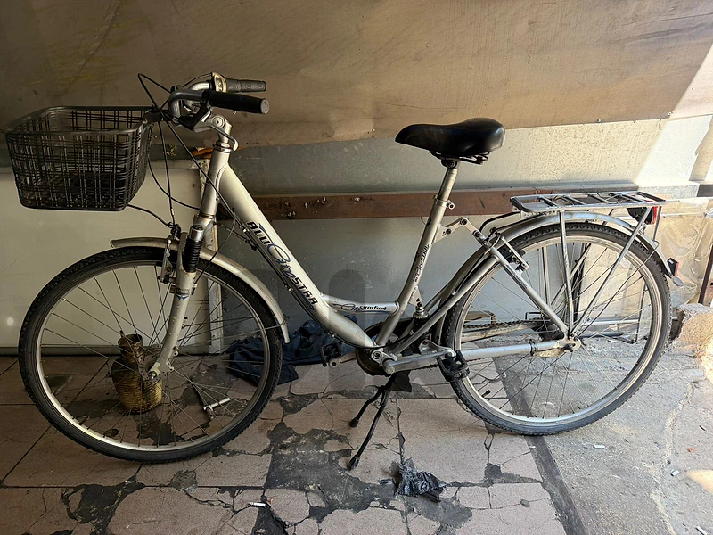 alu city star 300$