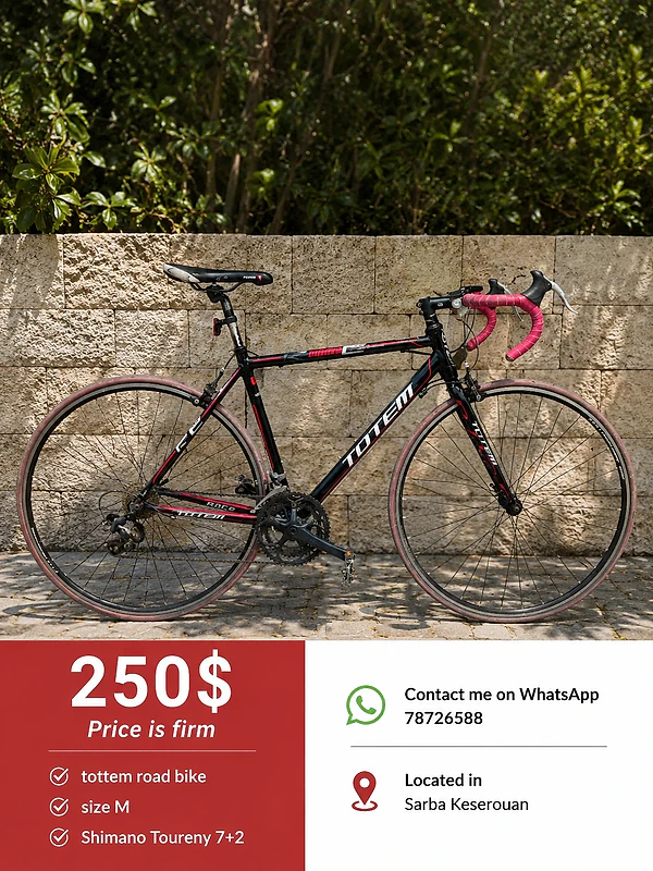 totem road bike