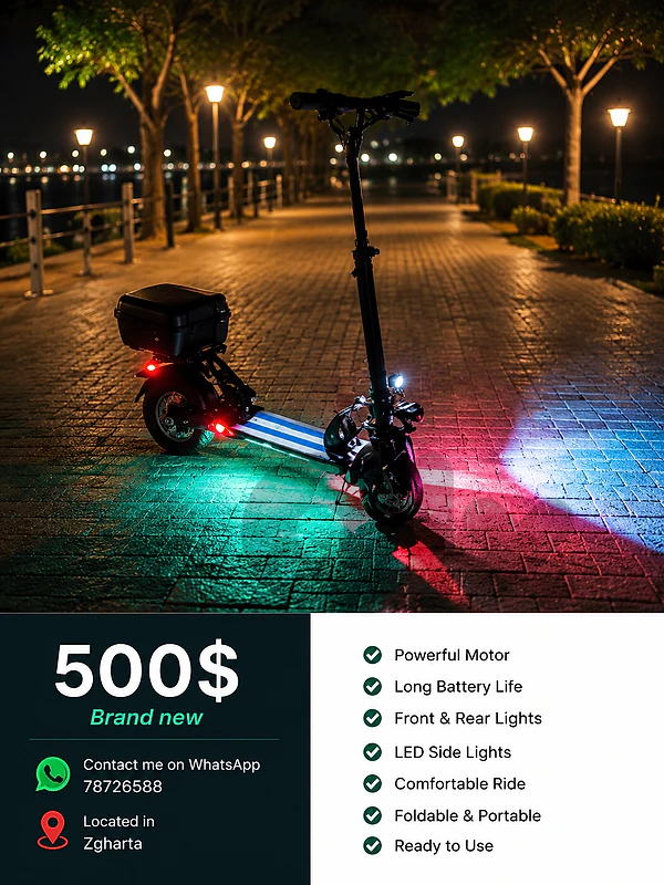 electric scooter