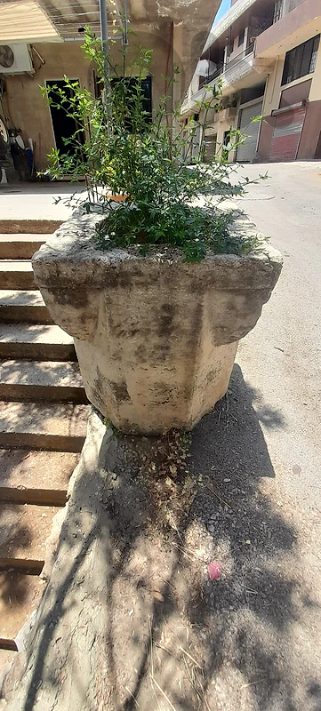 خرزة بئر