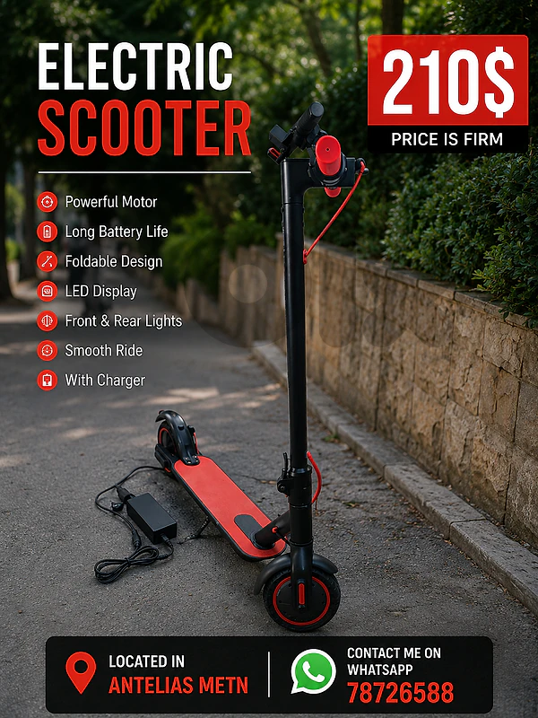 electric scooter