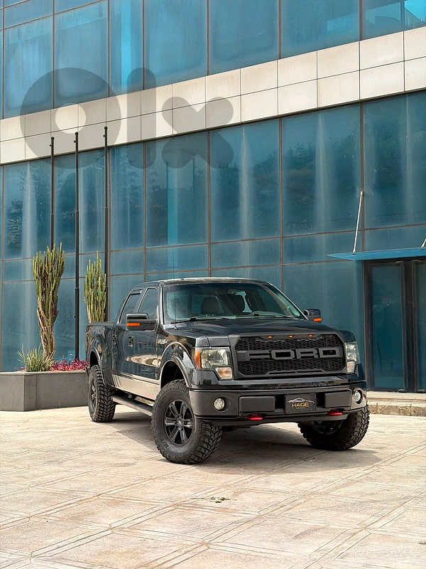 Ford F-150 2013 – FX4