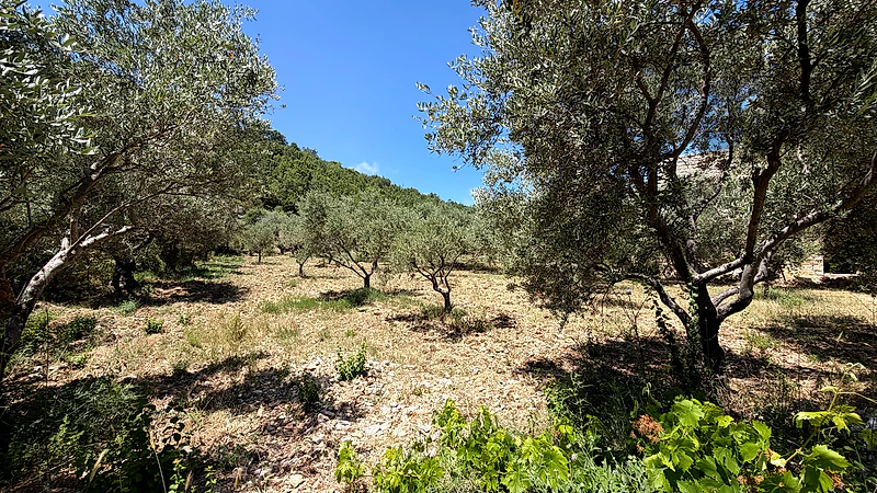 RWB400CA - Land for sale in Lehfed Jbeil