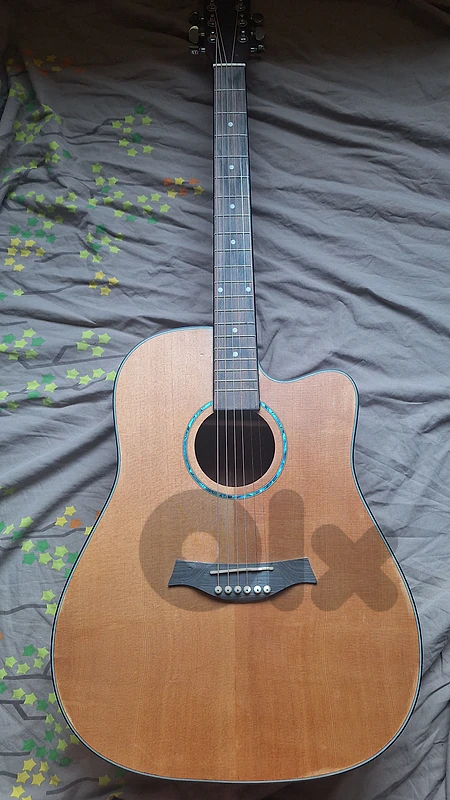 acoustic guitar