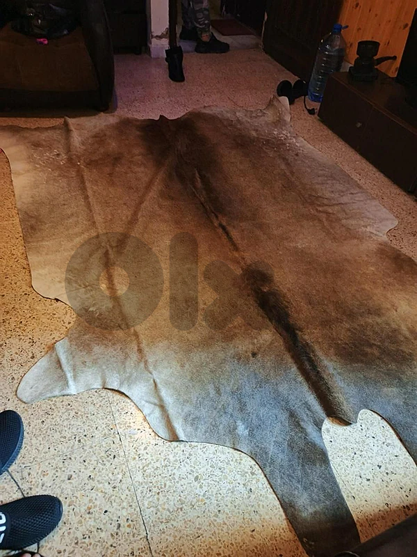 cow hide
