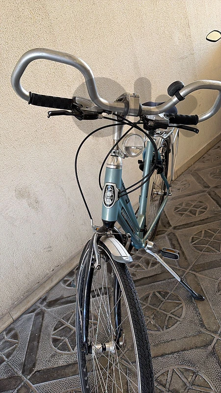 bicycle in saida for $250