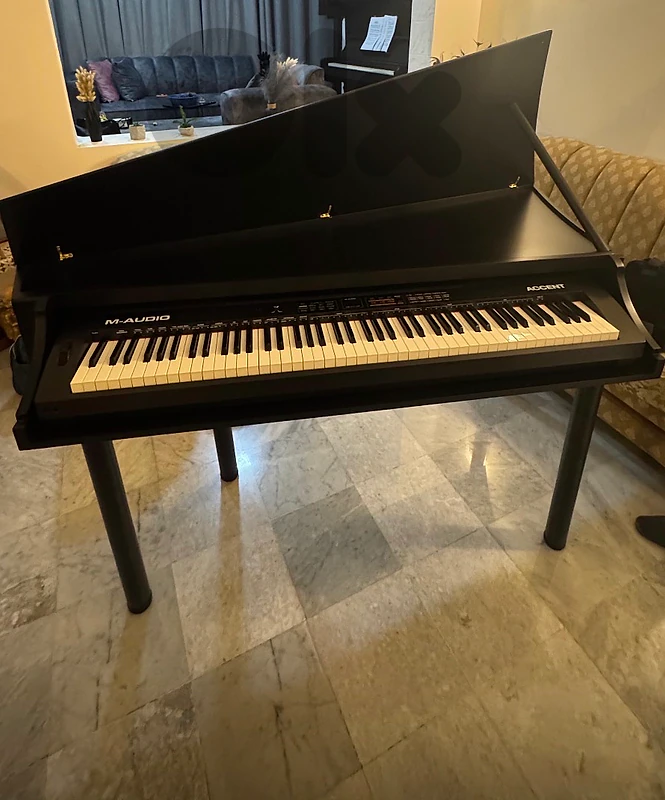 Mini grand piano case