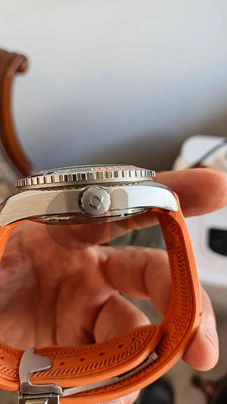 seamaster watch