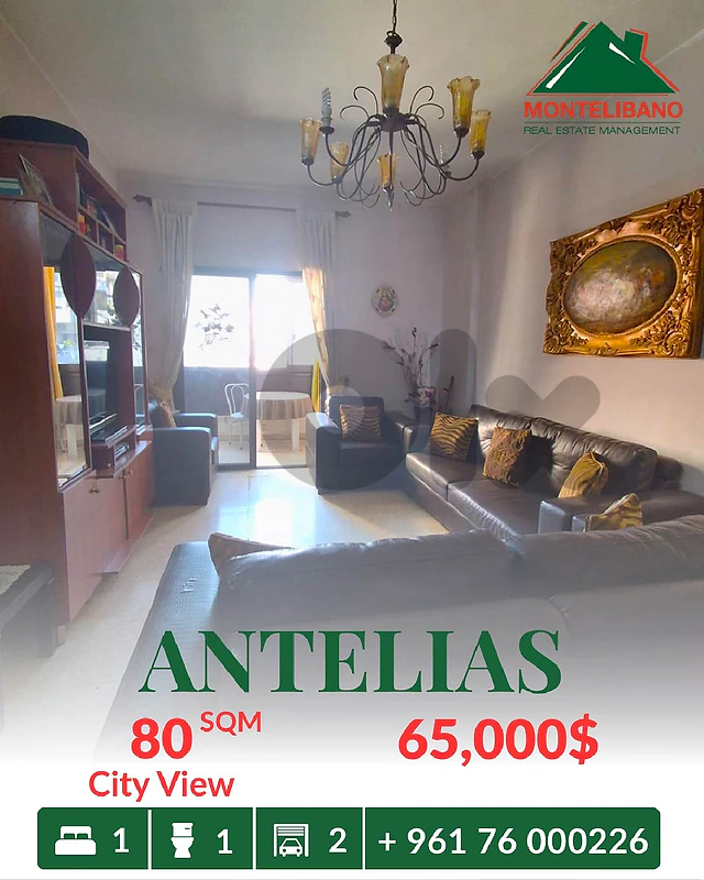 80 sqm Apartment For Sale in Antelias  with City View