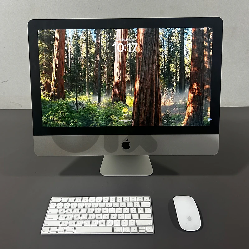 Apple iMac All in One Desktop Computer