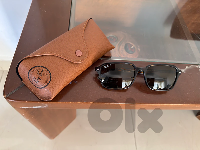 Rayban Raimond Polarized Havana Brown Colorway
