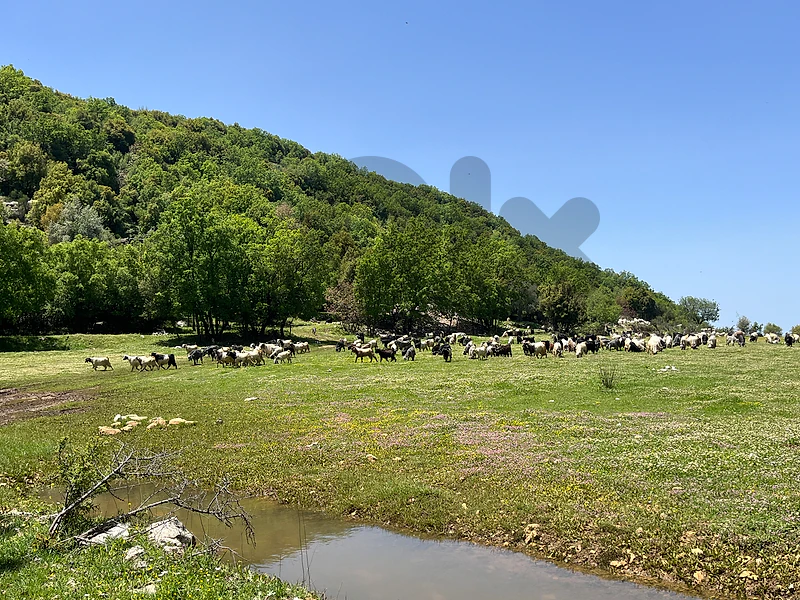 hiking trips all over lebanon