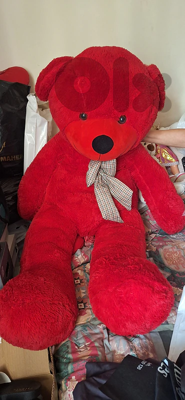 Teddy bear