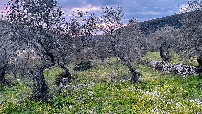 Land for sale in chabtine