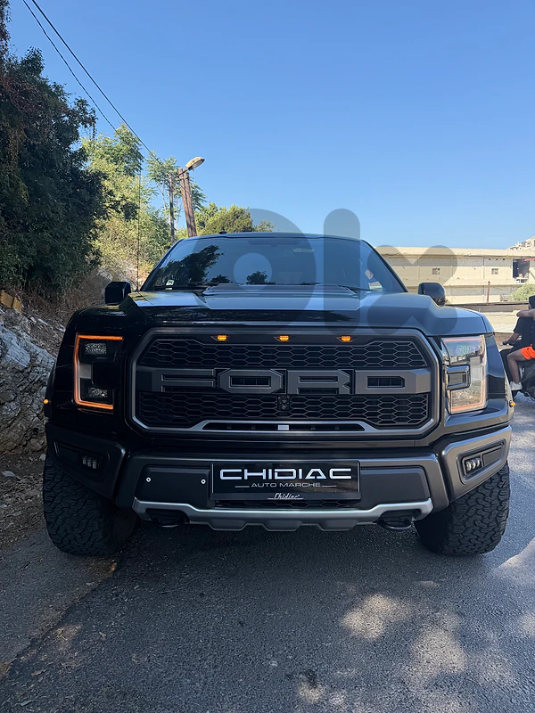 Ford F150/Raptor 2017