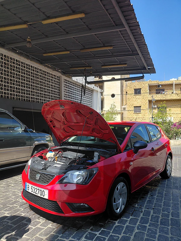 Seat Ibiza 2013