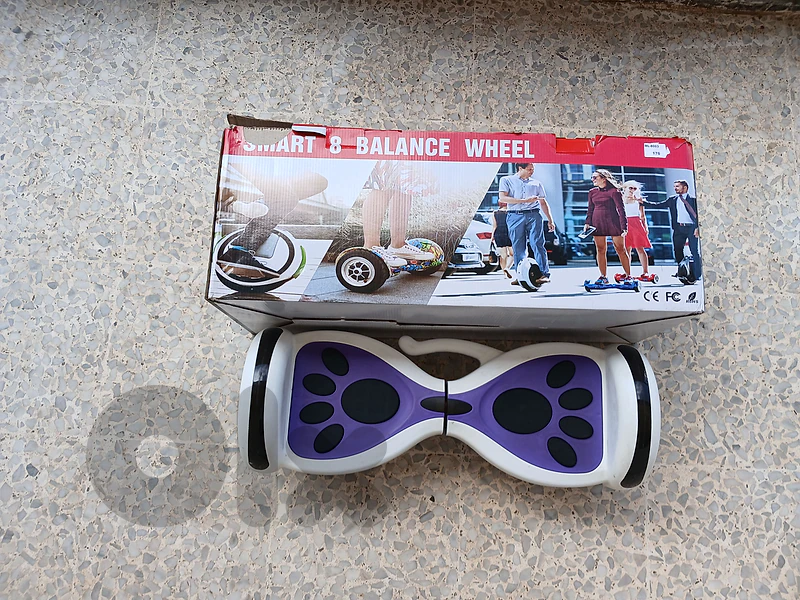 hoverboard with the charger