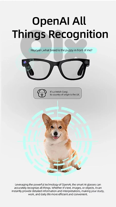 G300 Smart AI Glasses