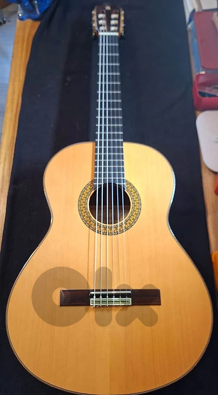 Alhambra 8 P Concert Classical Guitar