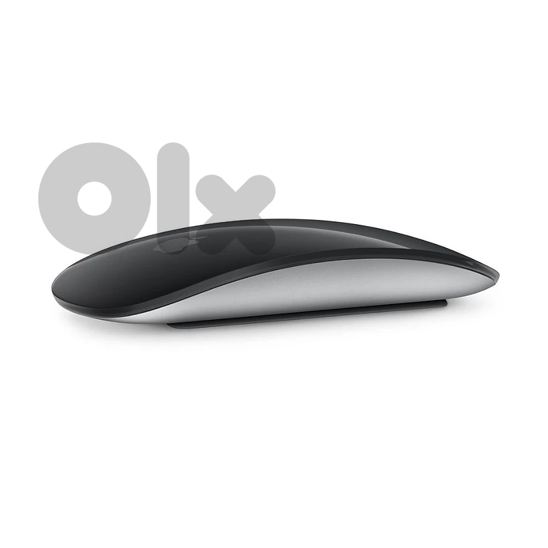 Apple Magic Mouse (USB‑C)