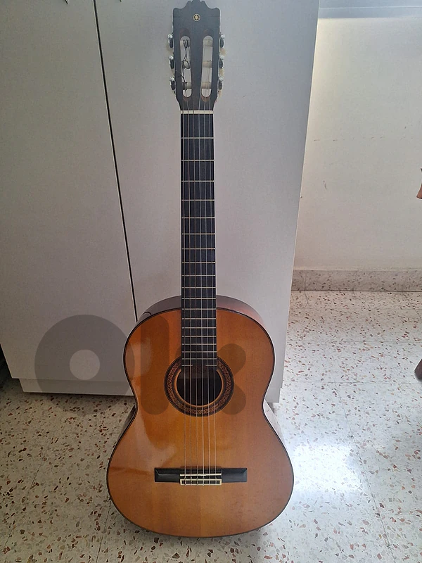 Classical Guitar