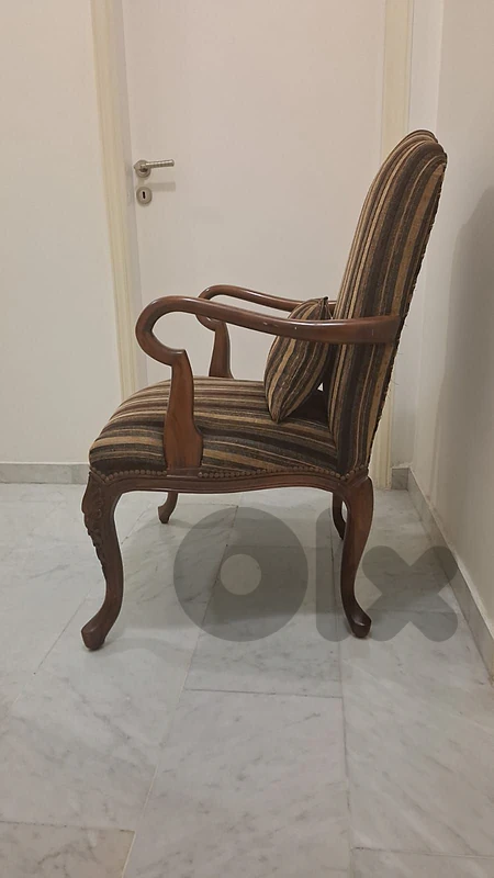 two fancy chairs for only 250$