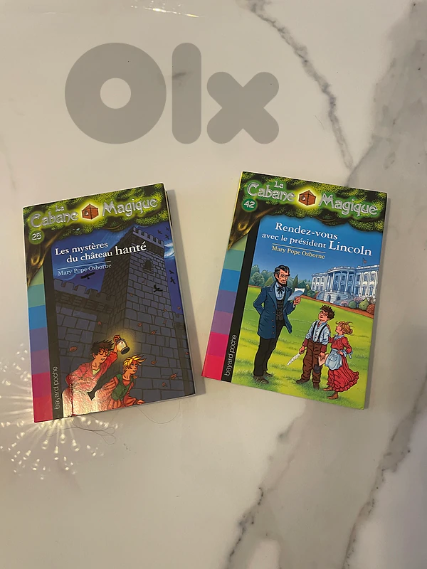2 french books la cabane magique