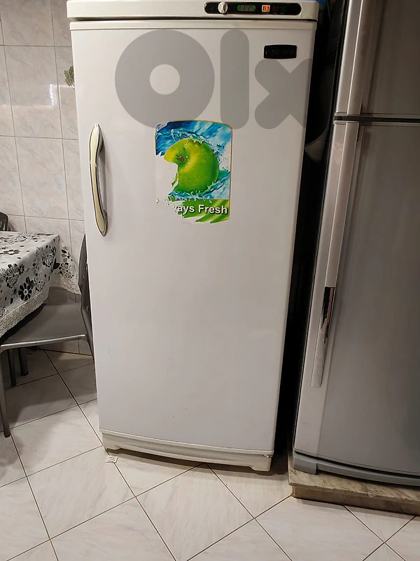 freezer for sale