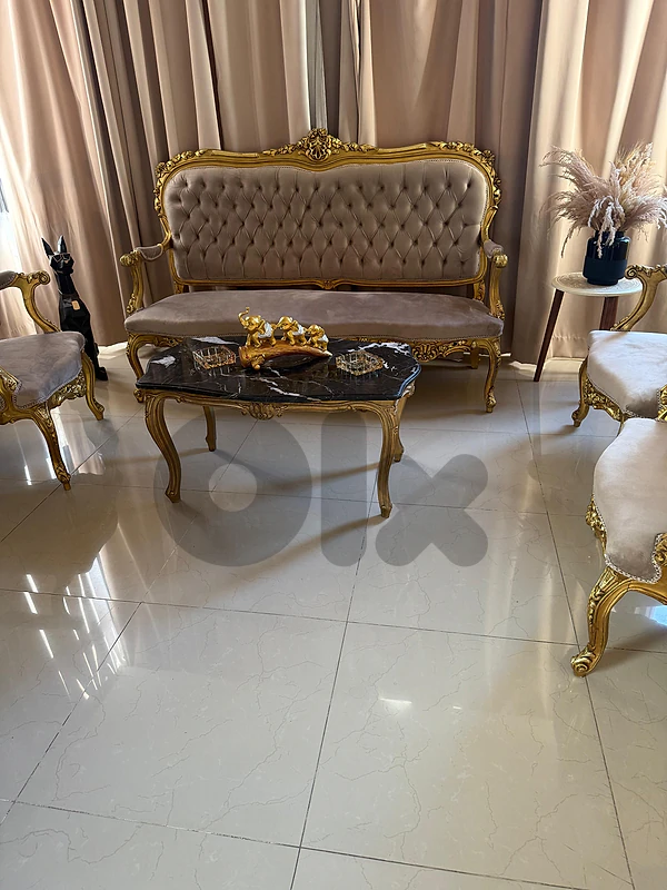 Elegant Classic Living Room Set