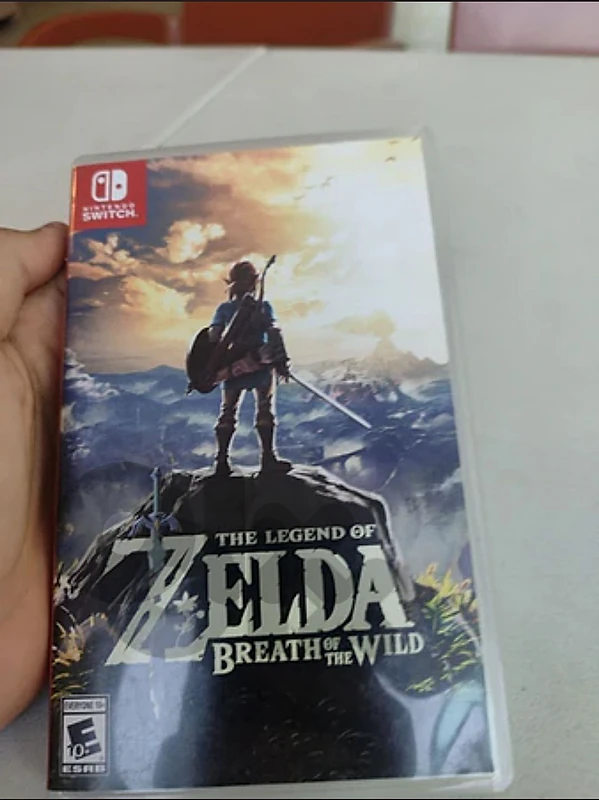 zelda botw