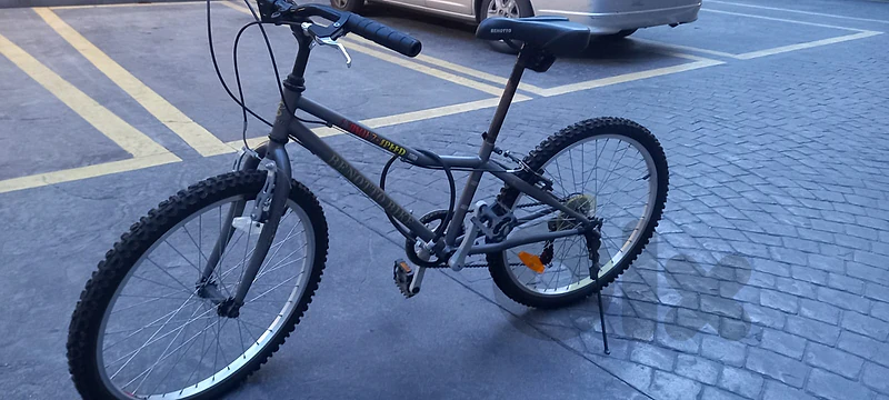 Benotto Bike Bicycle 24'' Single 7 Speed