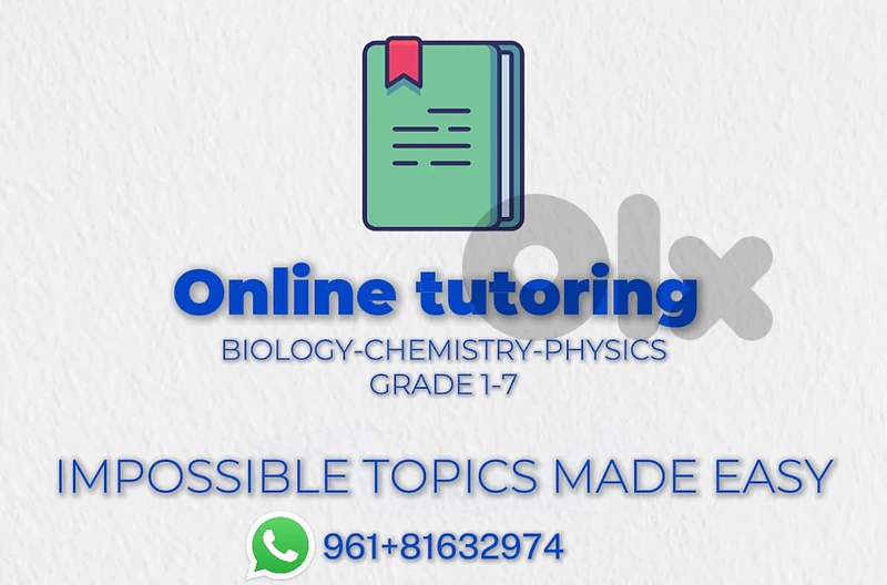 ONLINE TUTORING