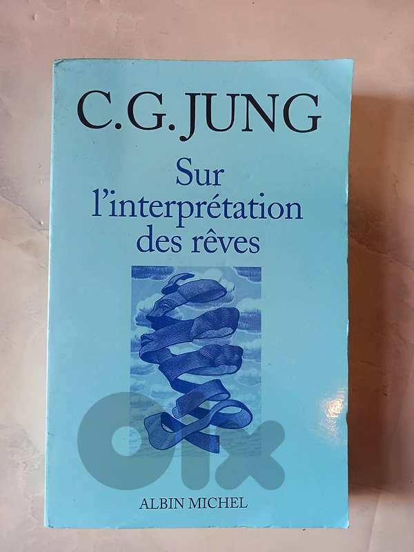 Sur l'interprétation des rêves Carl Gustav Jung
