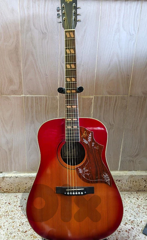hondo hummingbird accoustic guitar