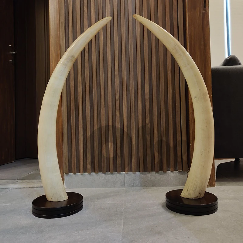 عاج 90cm