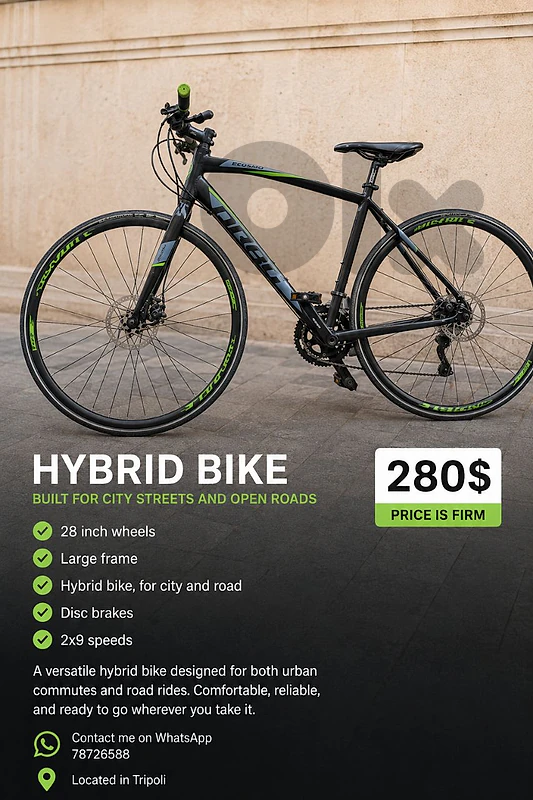 Hybrid bike